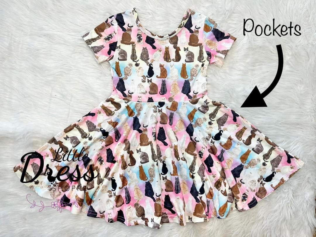 Rainbow Cats Twirly Dress